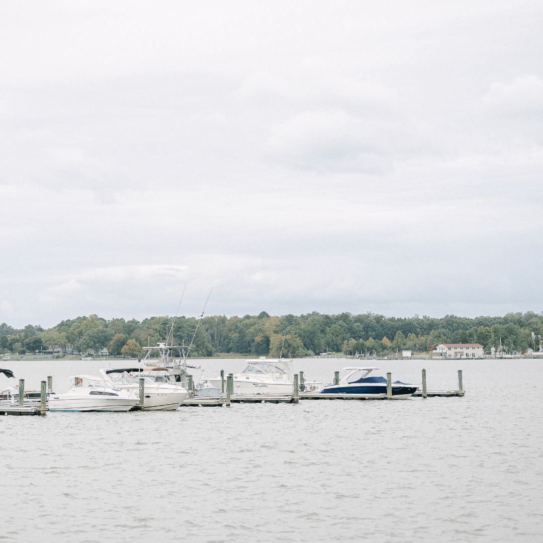 Amenities Swan Point Yacht & Country Club